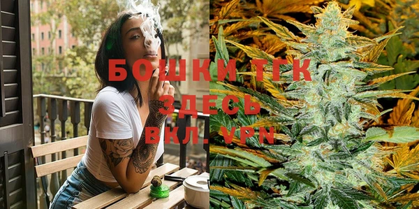 винт Новозыбков