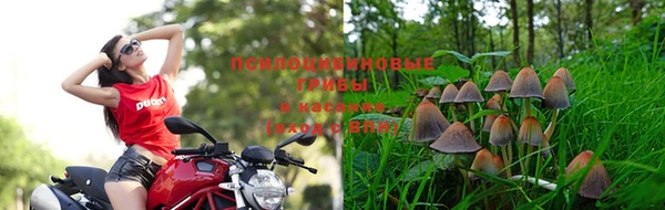 кристаллы Няндома