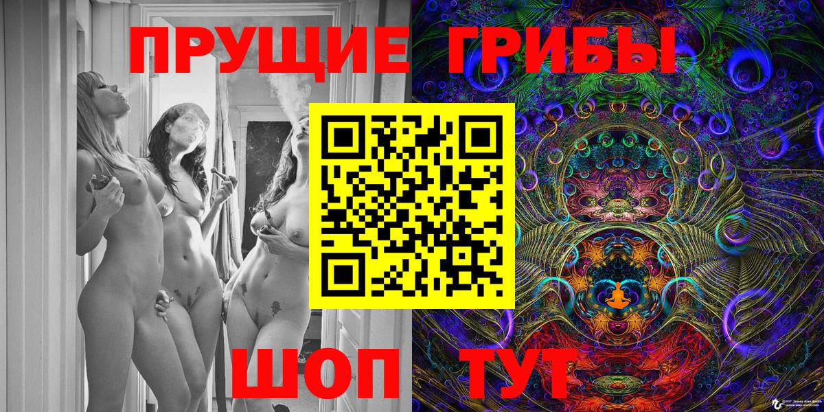 Миллерово  Псилоцибиновые грибы GOLDEN TEACHER  Псилоцибиновые грибы прущие грибы  Вход с VPN 